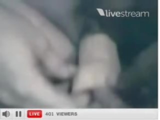 Professora daniela ignacio fronza de ribeiro preto porno film webcam vivere